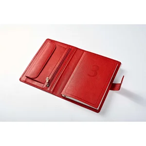 Three Years Diary