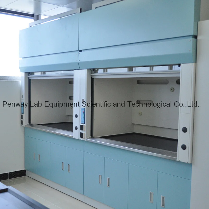 Energy Saving Chemical Resistant Fume Hood with CE Certificate Penway