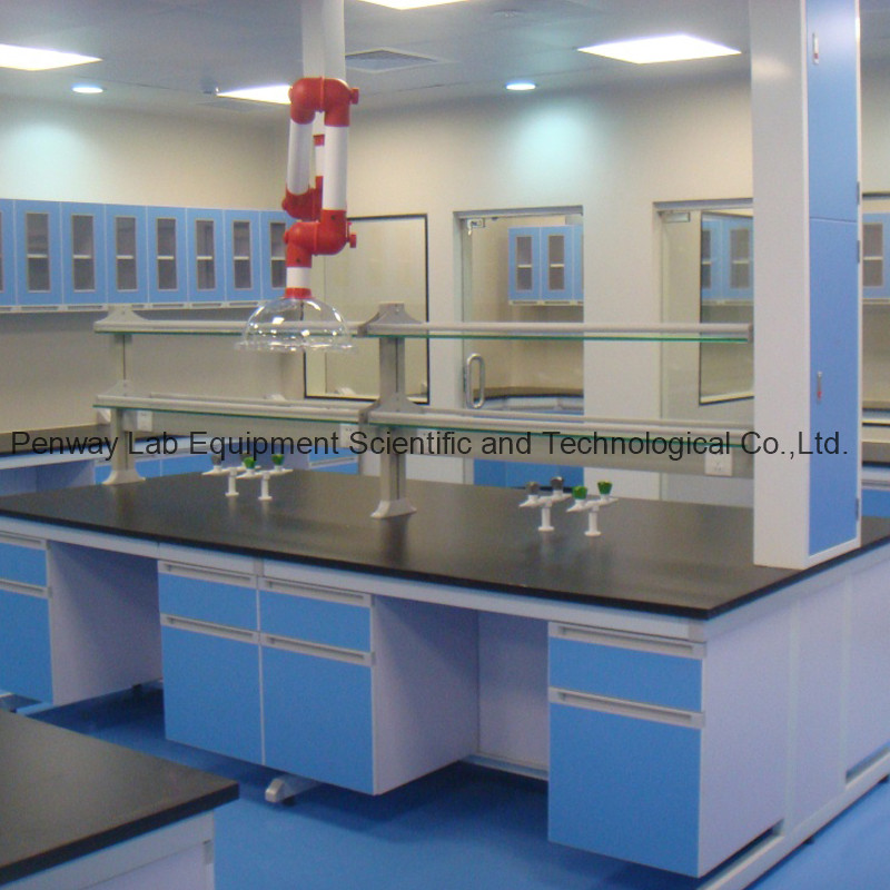 Steel and wood structure lab bench