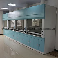 Energy Saving Chemical Resistant Fume Hood with CE Certificate