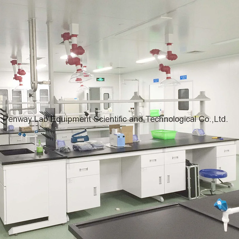 Pharmaceutical Lab Bench Lab Furniture (GMP STANDARD)