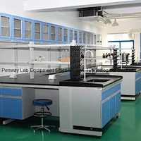 Chemical Resistant Steel and Wood Lab Furniture with Good Quality