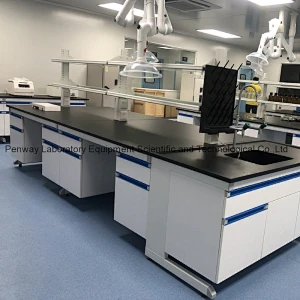 Durable Science School University Chemistry Steel Lab Bench Lab Furniture