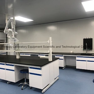 Durable Science School University Chemistry Steel Lab Bench Lab Furniture