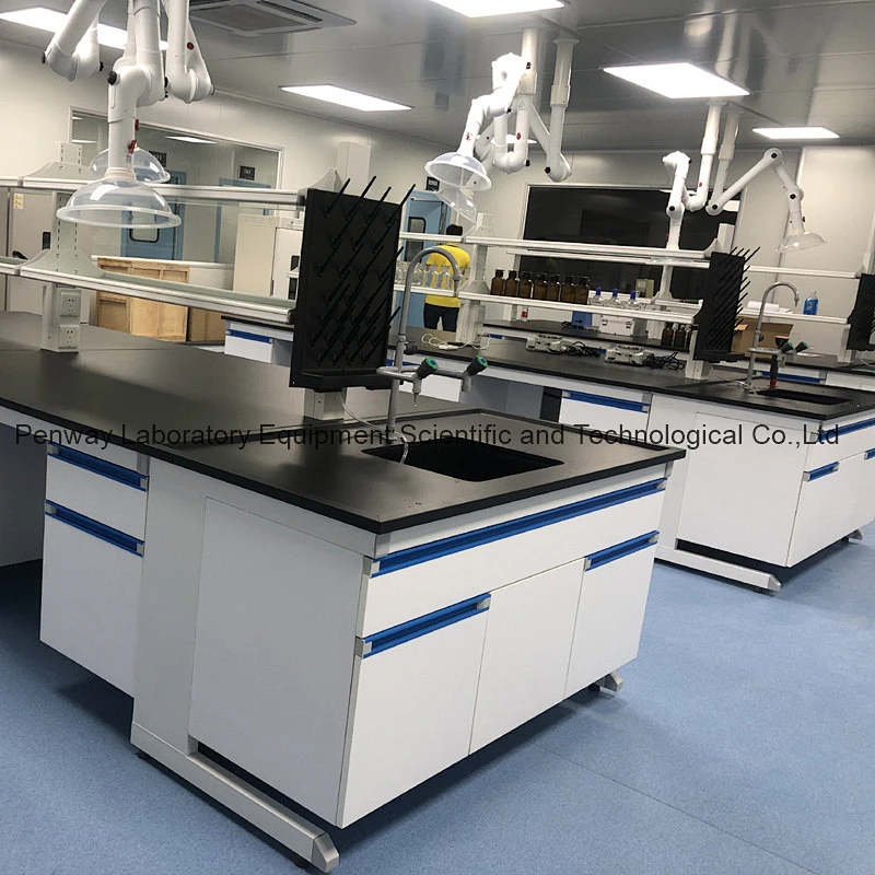 Durable Science School University Chemistry Steel Lab Bench Lab Furniture