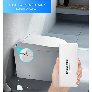 Multifunctional bidet toilet E-D203