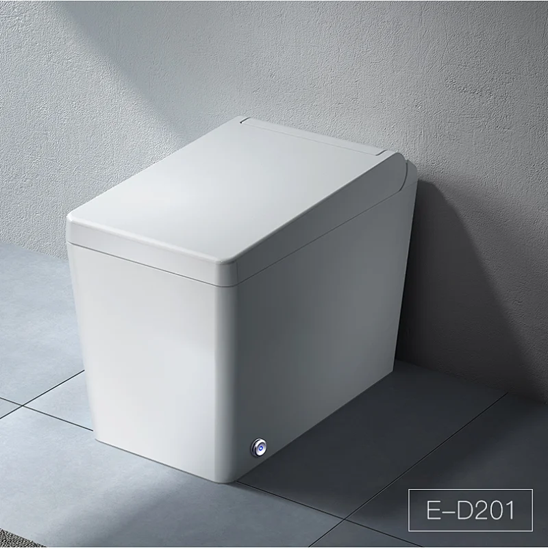Smart bidet toilet E-D201
