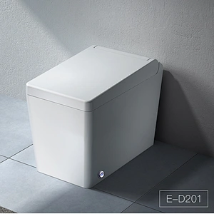 Smart bidet toilet E-D201