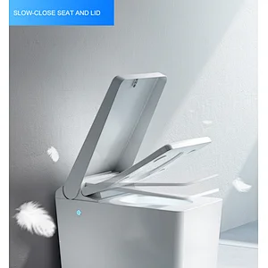 Smart bidet toilet E-D201