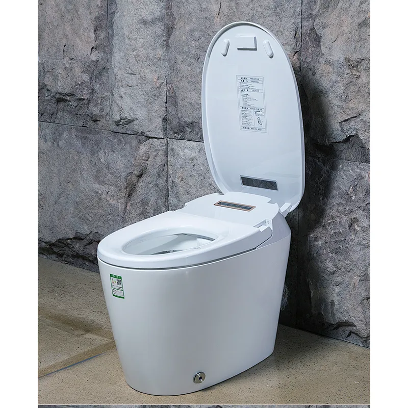 One-piece dual-flush intelligent toilet E-Z125