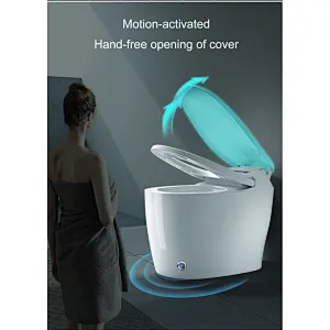 One-piece dual-flush intelligent toilet E-Z130