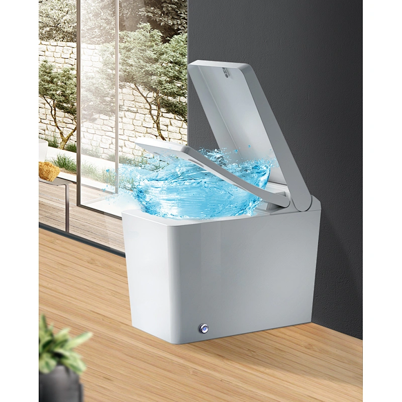 Smart bidet toilet E-D201