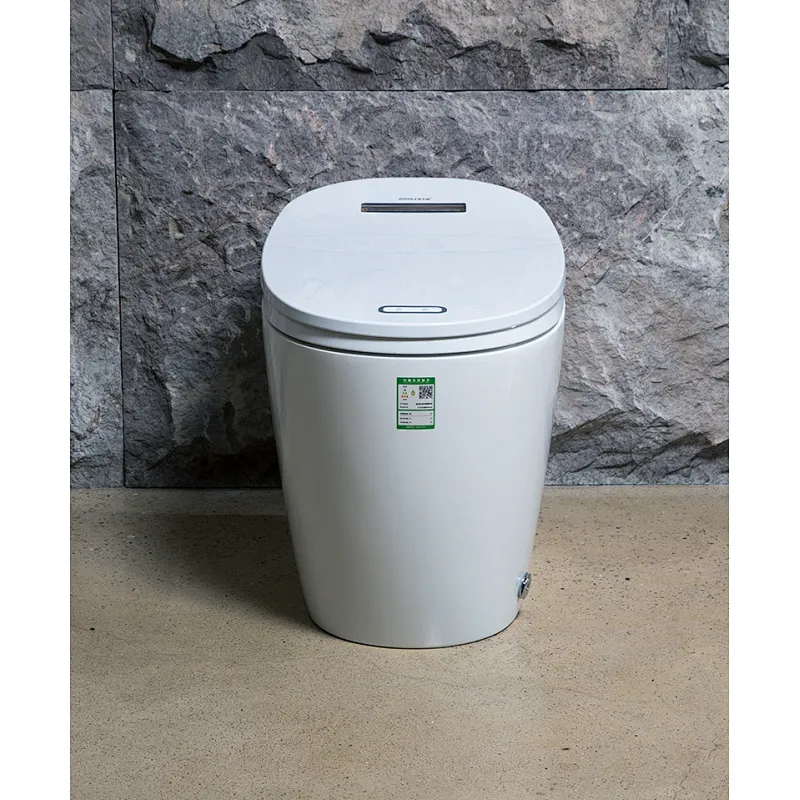 One-piece dual-flush intelligent toilet E-Z125