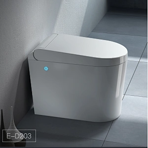 Multifunctional bidet toilet E-D203