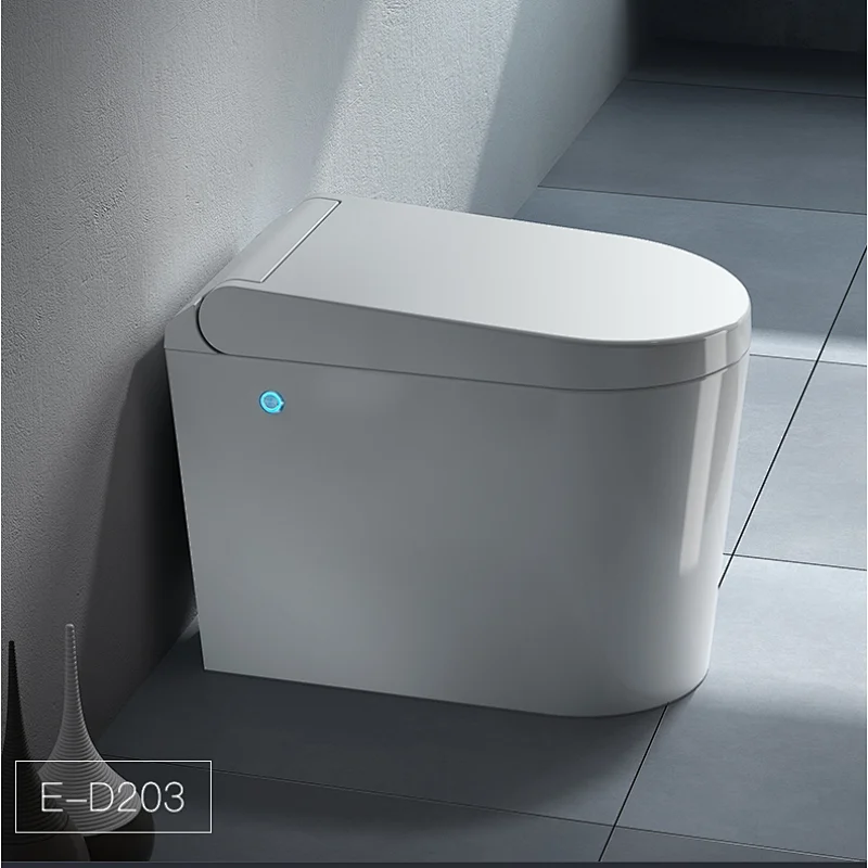Multifunctional bidet toilet E-D203