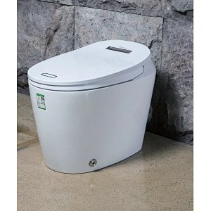 One-piece dual-flush intelligent toilet E-Z125