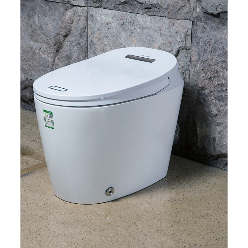 One-piece dual-flush intelligent toilet E-Z125