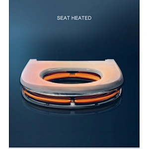 Smart bidet toilet E-D201