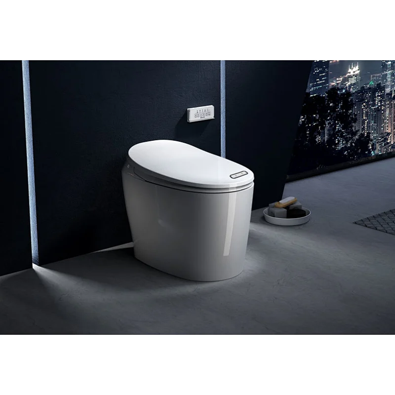 One-piece dual-flush intelligent toilet E-Z130