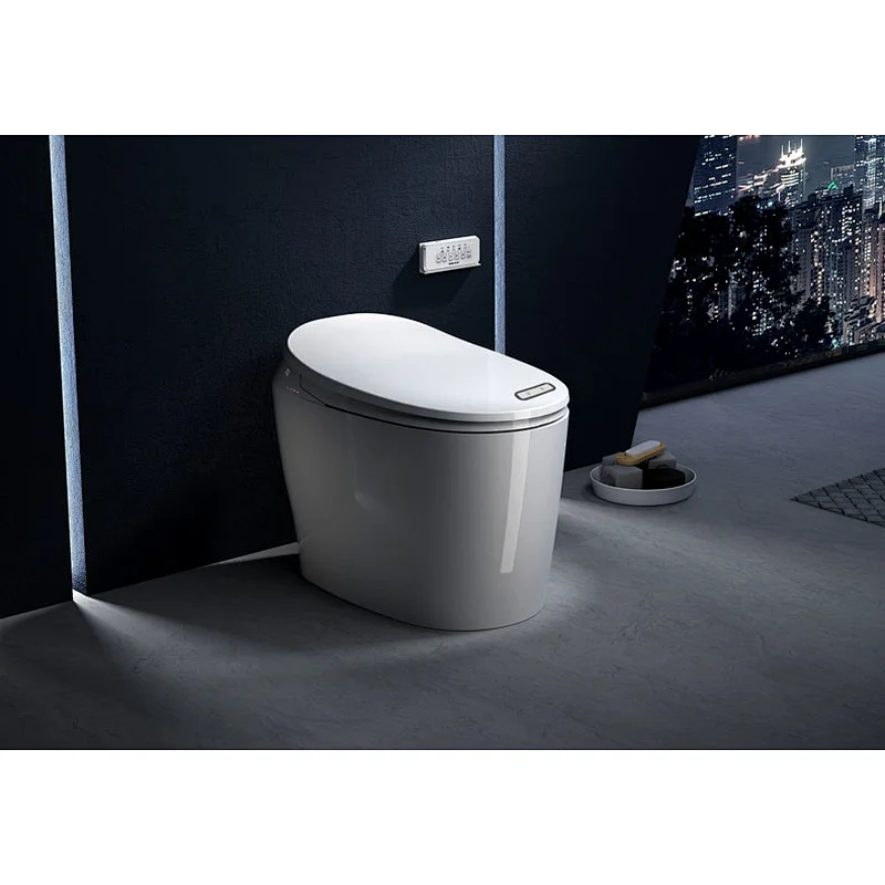 One-piece dual-flush intelligent toilet E-Z130