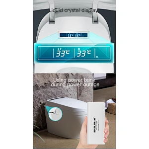 One-piece dual-flush intelligent toilet E-Z112