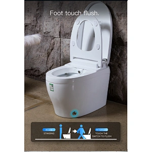 One-piece dual-flush intelligent toilet E-Z112