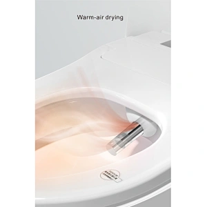 One-piece dual-flush intelligent toilet E-Z108