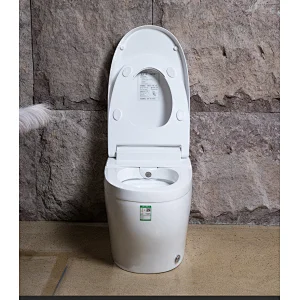 One-piece dual-flush intelligent toilet E-Z112