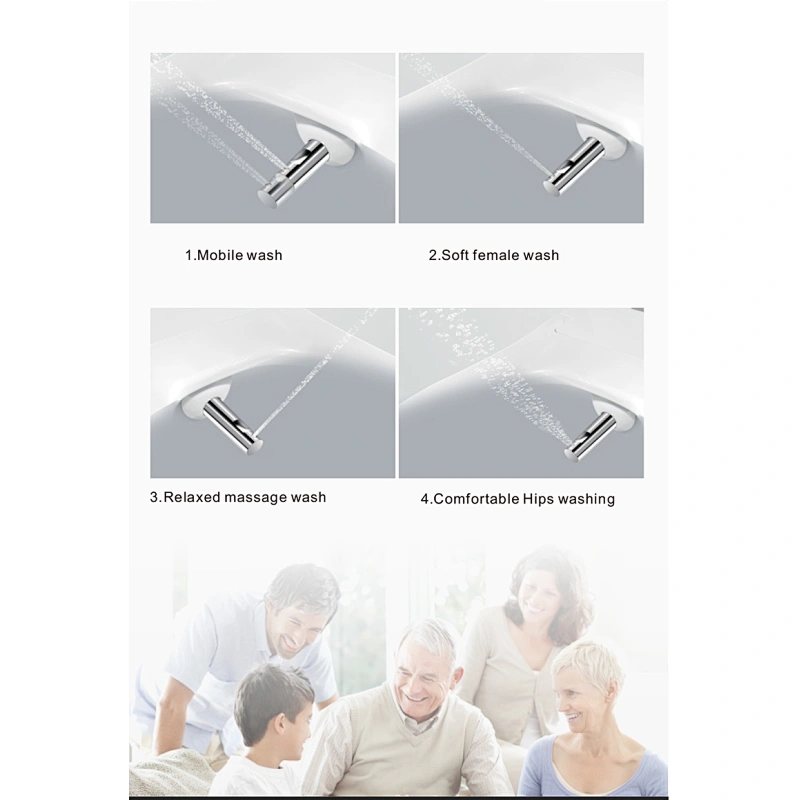 One-piece dual-flush intelligent toilet E-Z108