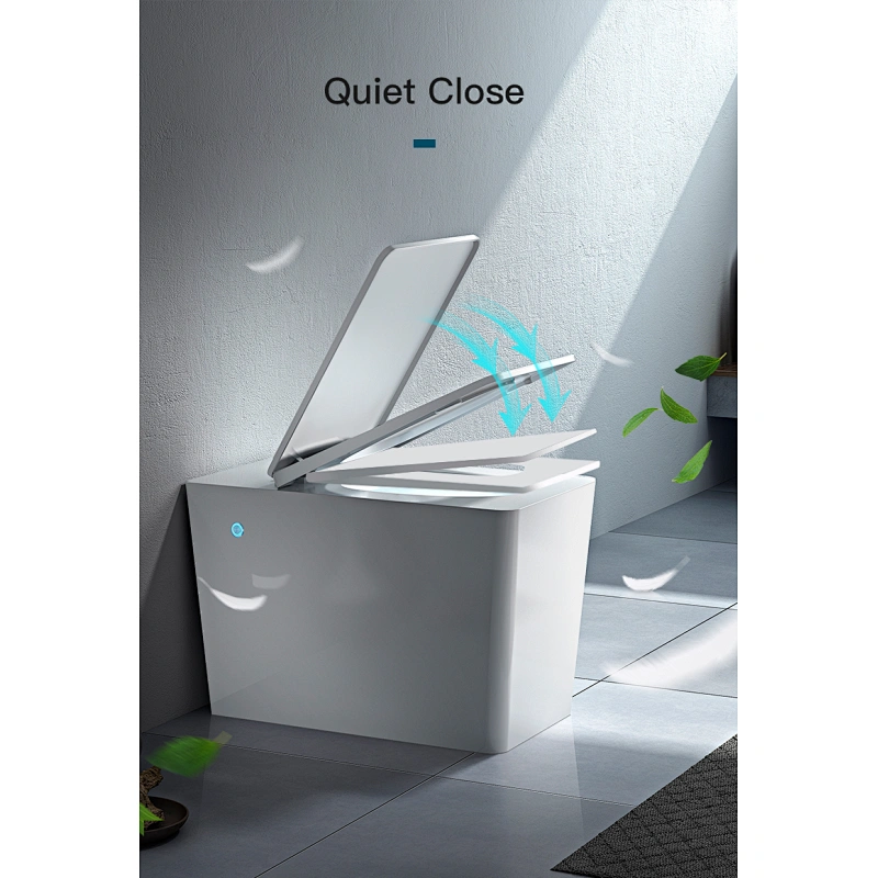 Simple one piece toilet E-J303