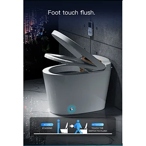 One-piece dual-flush intelligent toilet E-Z121