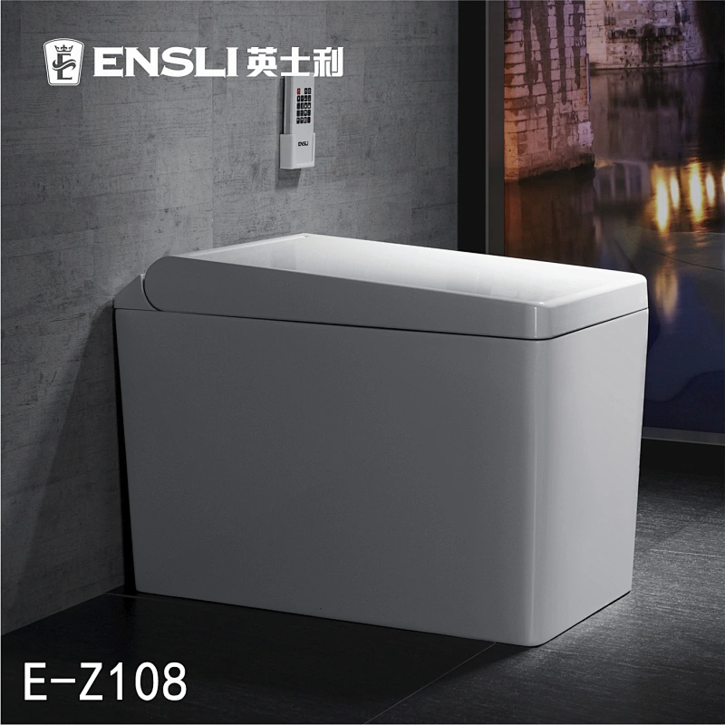 One-piece dual-flush intelligent toilet E-Z108