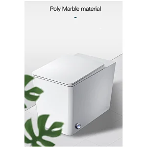 Simple one piece toilet E-J303