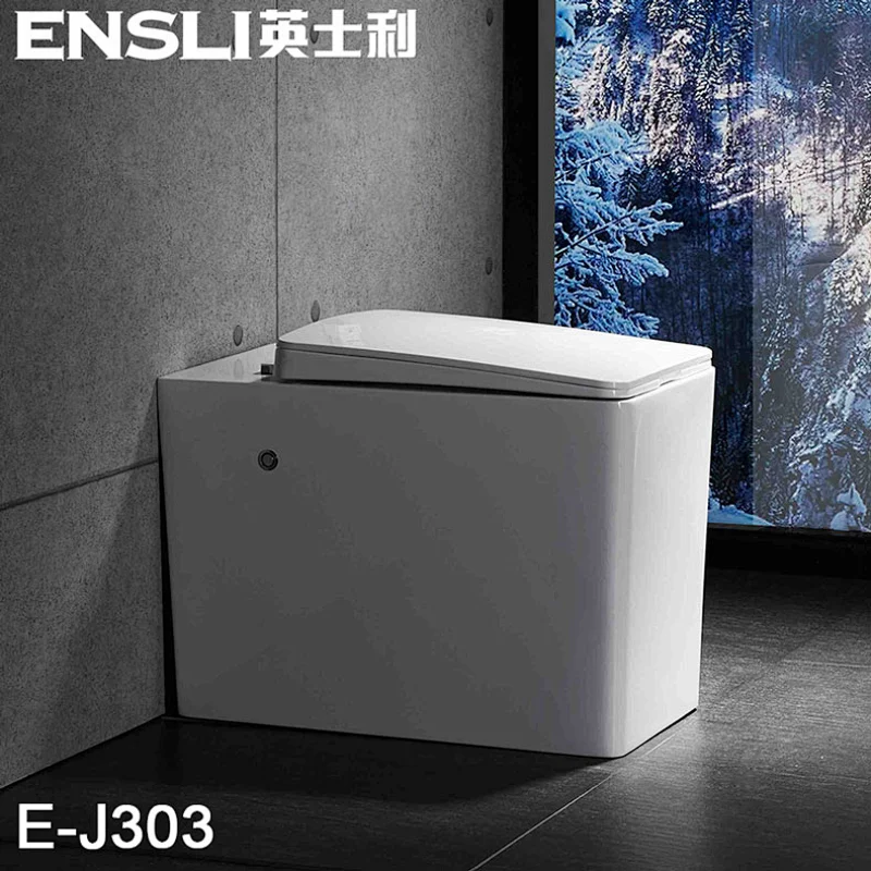 Simple one piece toilet E-J303