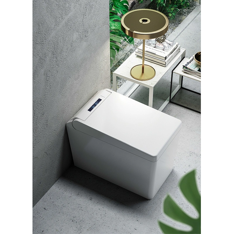 One-piece dual-flush intelligent toilet E-Z108