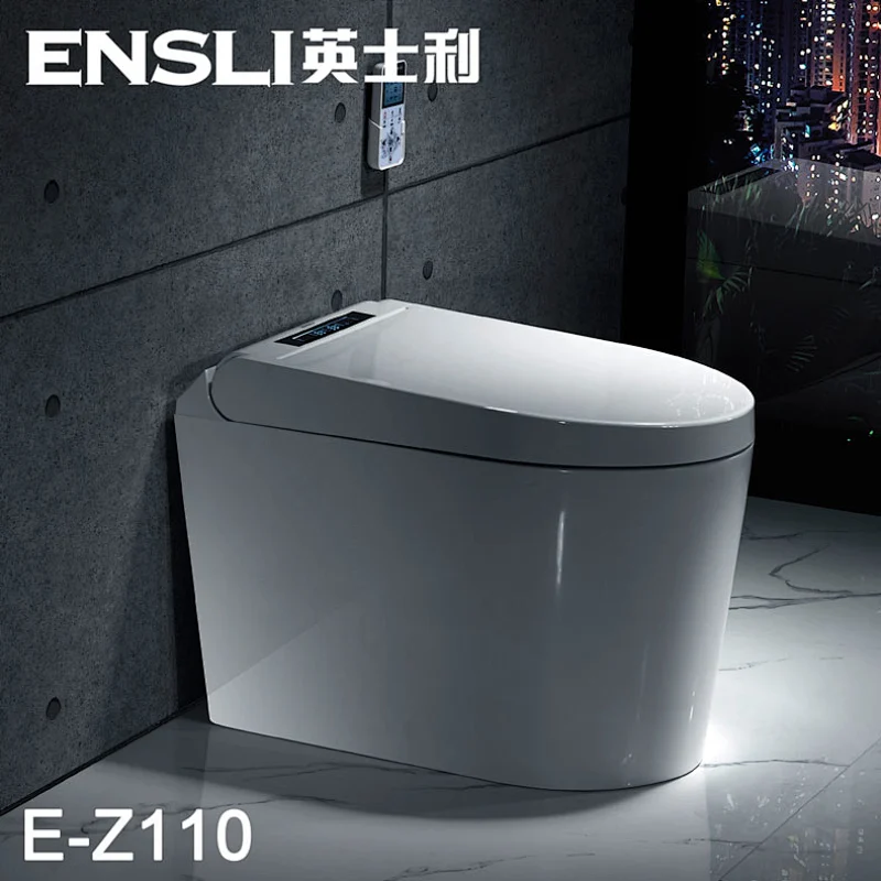 One-piece dual-flush intelligent toilet E-Z110