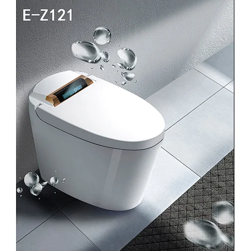 One-piece dual-flush intelligent toilet E-Z121