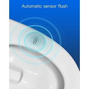 One-piece dual-flush intelligent toilet E-Z112