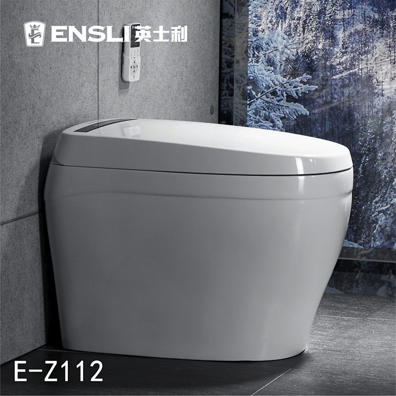 One-piece dual-flush intelligent toilet E-Z112