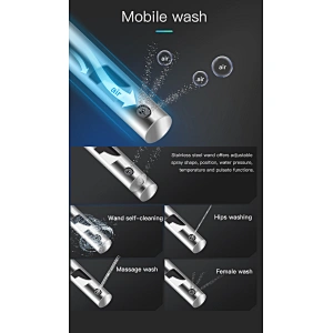 One-piece dual-flush intelligent toilet E-Z112