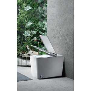 Simple one piece toilet E-J303