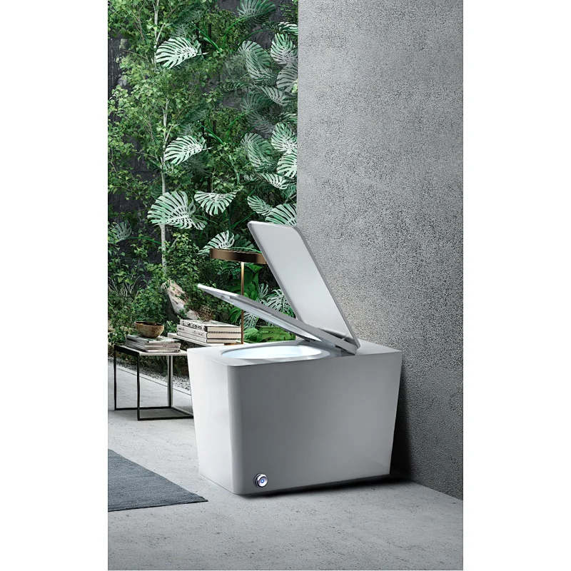 Simple one piece toilet E-J303