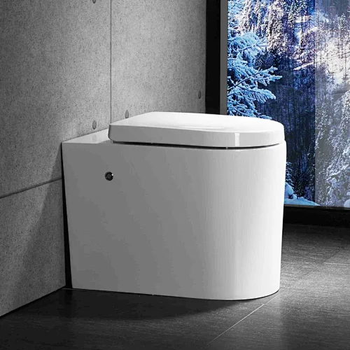 Simple one piece toilet E-J301
