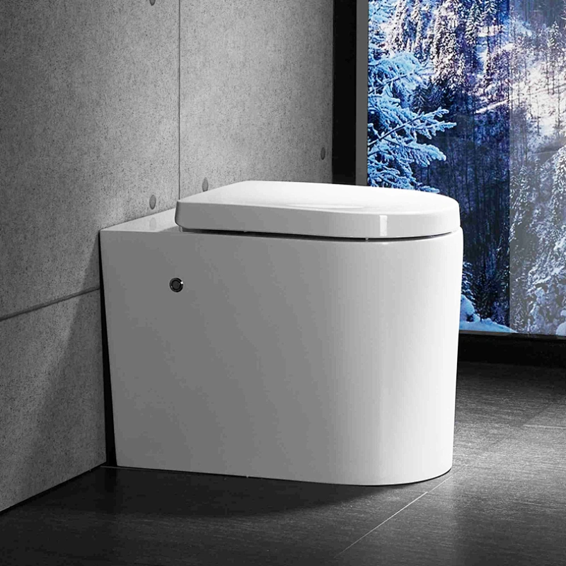 Simple one piece toilet E-J301