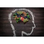Brain health foods---nutrients needed for brain health