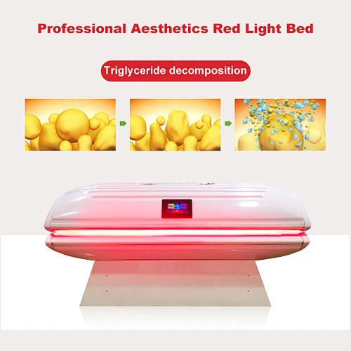 Suyzeko OEM ODM Spa Body Beauty red light therapy bed fat loss red light therapy bed for commercial