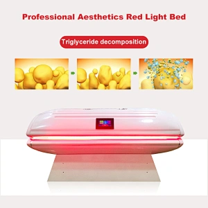 China Factory OEM ODM Body Beauty red light therapy 660nm 850nm beauty bed