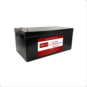 12V 200ah Deep Cycle LiFePO4 Lithium Ion Battery