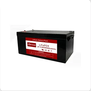 12.8V 200Ah LiFePO4 Battery Pack with BMS and bluetooth