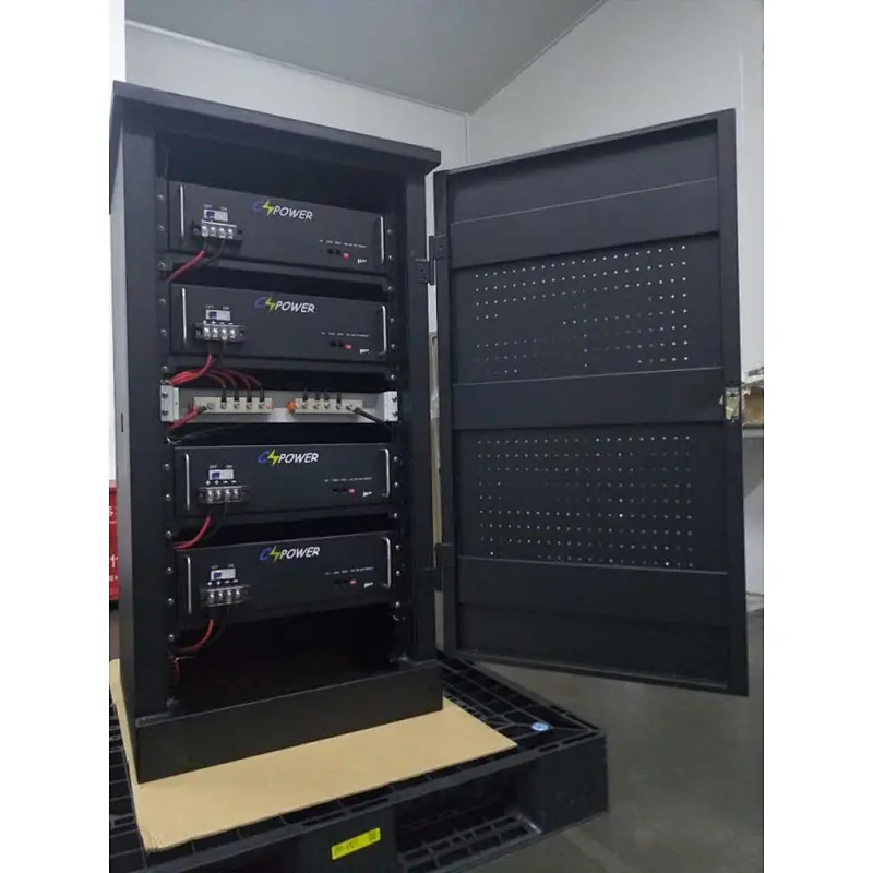 19Inch Rack Rechargeable BMS 24V 100Ah Lifepo4 Battery Pack